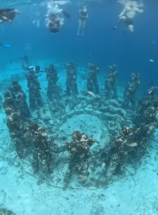 Instagram Reel Snorkeling Dream