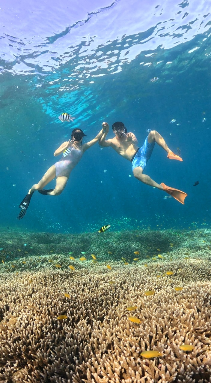 Pelanggan Snorkling Dream